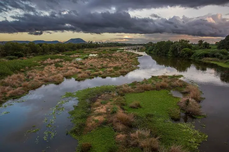 River landscape near Tirunelveli